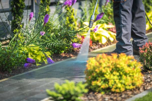 Best Warehouse Cleaning  in Wlow Springs, IL