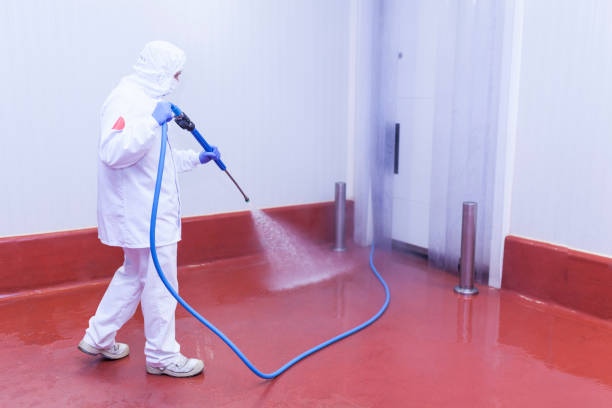 Best Rust Removal  in Wlow Springs, IL
