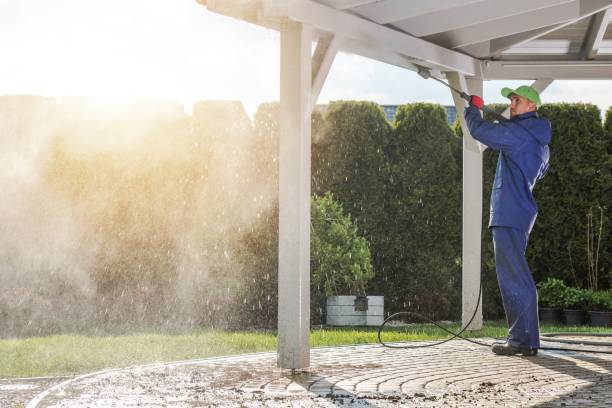 Best Dumpster Area Cleaning  in Wlow Springs, IL