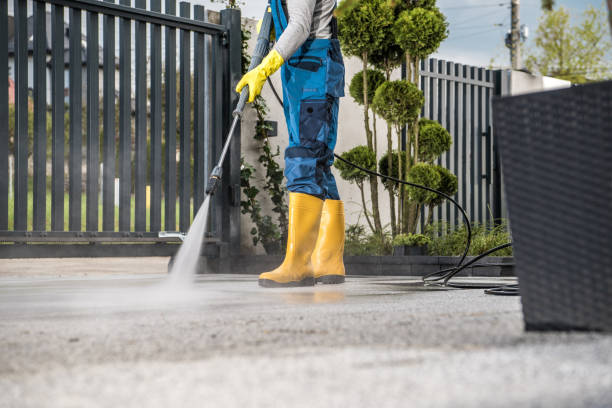 Best Gutter Cleaning  in Wlow Springs, IL