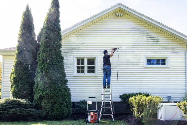 Best Graffiti Removal  in Wlow Springs, IL